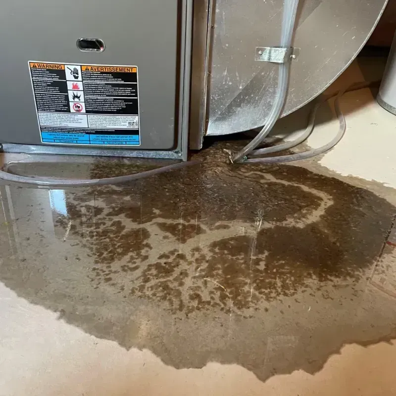 Appliance Leak Cleanup in King City, OR